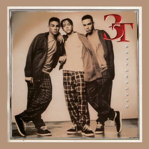 3T 1995 debut album Brotherhood